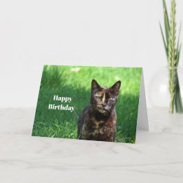 Niedlich Brown Tortoiseshell Cat Foto Geburtstag Karte