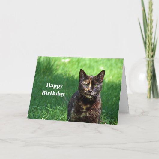 Niedlich Brown Tortoiseshell Cat Foto Geburtstag Karte (Vorderseite)