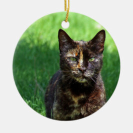 Niedlich Brown Tortoiseshell Cat Foto Keramik Ornament