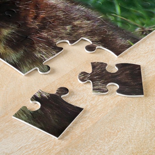 Niedlich Brown Tortoiseshell Cat Foto Puzzle (Seite)