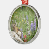 Niedlich Brown White Chipmunk Silbernes Ornament (Links)