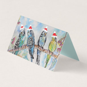 Niedlich Budgie Weihnachten Budgerigar Budgies Bir
