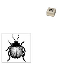 Niedlich Bug Insect Lover