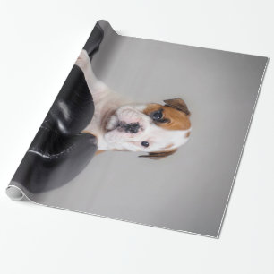 Niedlich Bulldog Boxer English Bulldog Lover Gesch Geschenkpapier