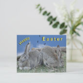 Niedlich Bunnies Happy Oaster Postcard Postkarte (Stehend Vorderseite)