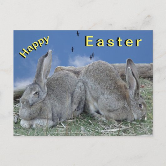 Niedlich Bunnies Happy Oaster Postcard Postkarte (Vorderseite)