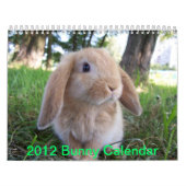 Niedlich Bunnies Kalender (Titelbild)