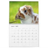 Niedlich Bunnies Kalender (Mär 2027)