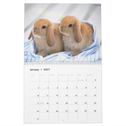 Niedlich Bunnies Kalender (Jan 2027)