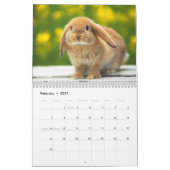 Niedlich Bunnies Kalender (Feb 2027)