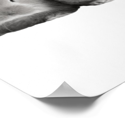 Niedlich Bunnies Rabbit Bubble Gum Kinderzimmer Ch Poster (Ecke)