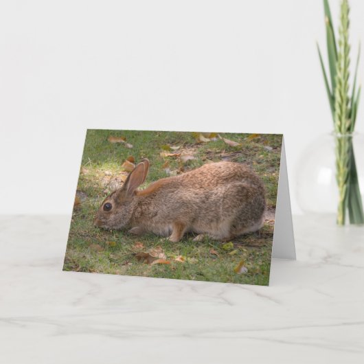 Niedlich Bunny Feiertagskarte (Vorderseite)