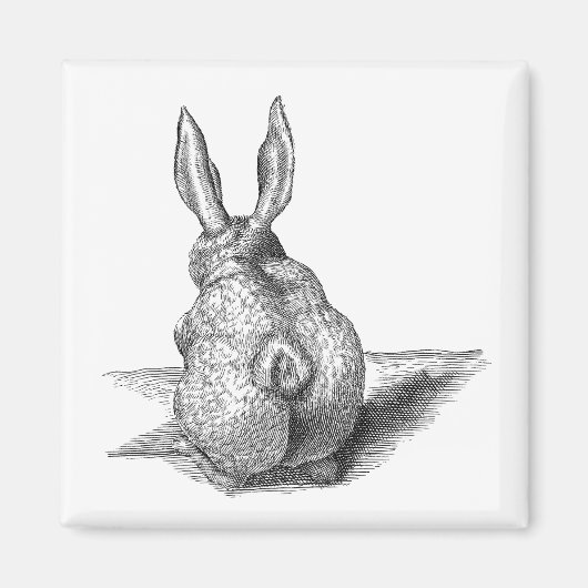 Niedlich Bunny Magnet (Vorne)