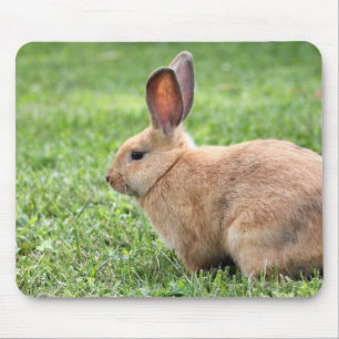 Niedlich Bunny Mousepad