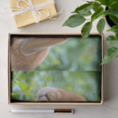 Niedlich Bunny Seidenpapier (Geschenk)