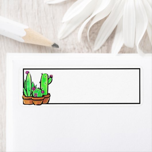 Niedlich Cactus cacti succuli (Insitu)