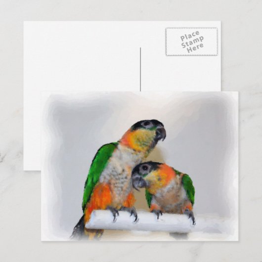 Niedlich Caique Parrot Pair Bird Postkarte (Vorne/Hinten)