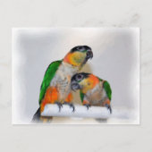Niedlich Caique Parrot Pair Bird Postkarte (Vorderseite)