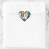 Niedlich Calico Cat Kitten Funny Curious Eyes Foto Herz-Aufkleber (Tasche)