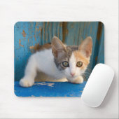 Niedlich Calico Cat Kitten Funny Curious Eyes Foto Mousepad (Mit Mouse)