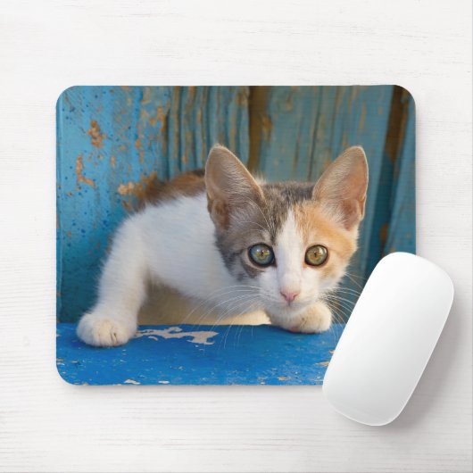 Niedlich Calico Cat Kitten Funny Curious Eyes Foto Mousepad (Mit Mouse)