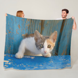 Niedlich Calico Cat Kitten Funny Curry Eyes Foto / Fleecedecke