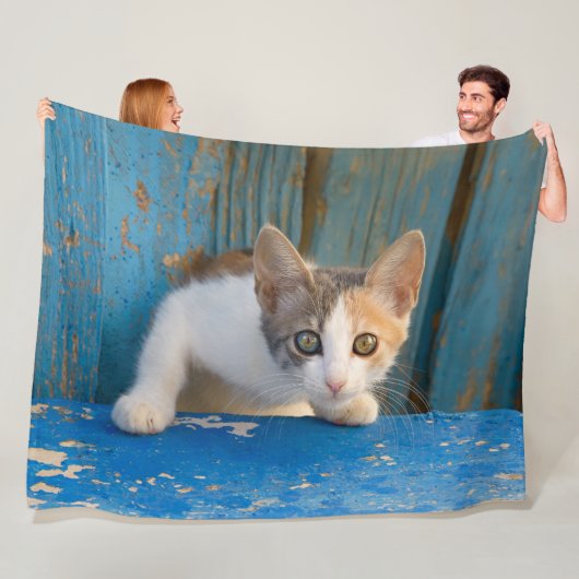 Niedlich Calico Cat Kitten Funny Curry Eyes Foto / Fleecedecke (Beispiel)