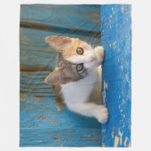 Niedlich Calico Cat Kitten Funny Curry Eyes Foto / Fleecedecke (Vorderseite)