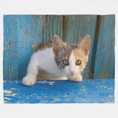 Niedlich Calico Cat Kitten Funny Curry Eyes Foto / Fleecedecke (Vorderseite (Horizontal))