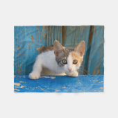 Niedlich Calico Cat Kitten Funny Curry Eyes Foto _ Fleecedecke (Vorderseite (Horizontal))