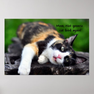 Niedlich Calico Cat, "Nicht generisches Essen wied Poster