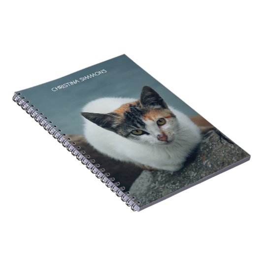 Niedlich Calico Cat Personalisiert Notebook Notizblock (Rechte Seite)