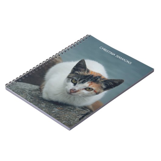 Niedlich Calico Cat Personalisiert Notebook Notizblock (Linke Seite)