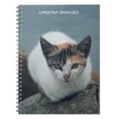 Niedlich Calico Cat Personalisiert Notebook Notizblock (Vorderseite)