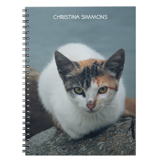 Niedlich Calico Cat Personalisiert Notebook Notizblock (Vorderseite)