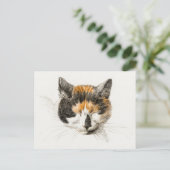 Niedlich Calico Cat Postkarte (Stehend Vorderseite)