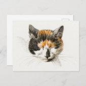Niedlich Calico Cat Postkarte (Vorne/Hinten)