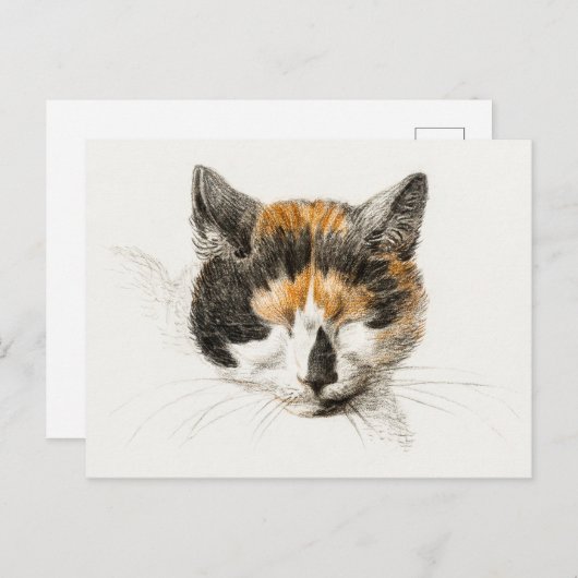 Niedlich Calico Cat Postkarte (Vorne/Hinten)