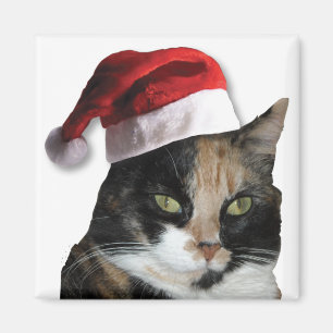 Niedlich Calico Cat Wear Weihnachtsmannmütze Magnet