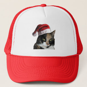 Niedlich Calico Cat Wear Weihnachtsmannmütze Truckerkappe