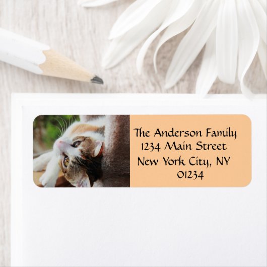 Niedlich Calico Kitten Cat Lover Rücksendeadressen (Insitu)