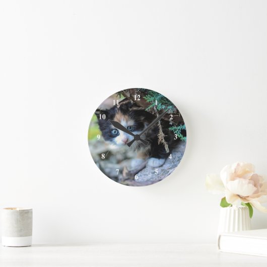 Niedlich Calico Kitten Foto Runde Wanduhr (Zuhause)
