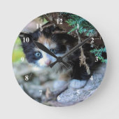 Niedlich Calico Kitten Foto Runde Wanduhr (Vorderseite)