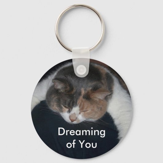 Niedlich Calico Schlafen Cat Dreaming of You Schlüsselanhänger (Vorderseite)