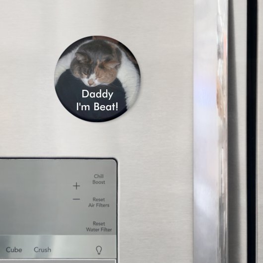 Niedlich Calico Schlafkat über Schulter Magnet (In Situ (Kühlschrank))