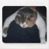 Niedlich Calico Schlafkat über Schulter Mousepad (Vorne)