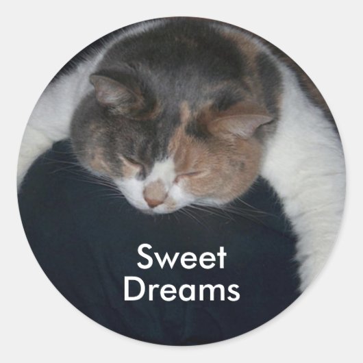 Niedlich Calico Schlafkat über Schulter Runder Aufkleber (Vorderseite)
