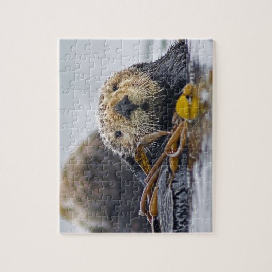 Niedlich California Sea Otter - Naturfotografie Puzzle (Vertikal)