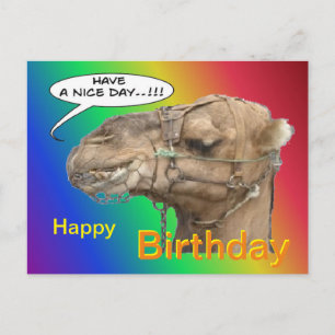 Niedlich Camel Rainbow Happy Birthday Postcard Postkarte