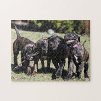 Niedlich Cane Corso Puppy Puzzle